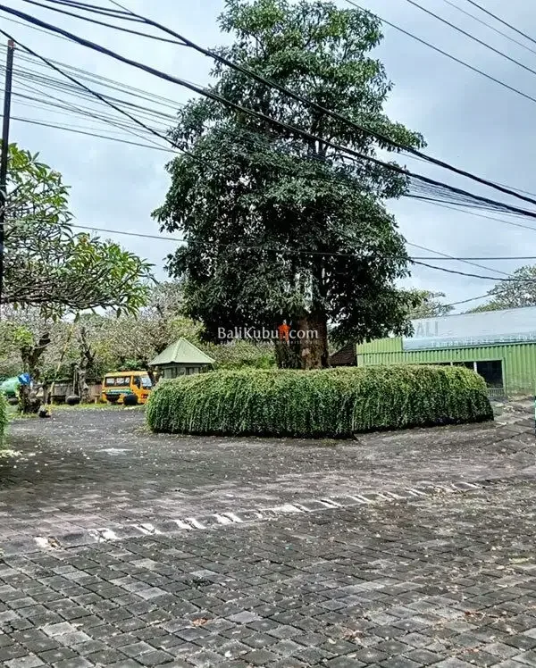 [AMS-067.DRM] Jual Tanah Kavling 1 arean Super Premium Siyut Gianyar - Image 2 of 10