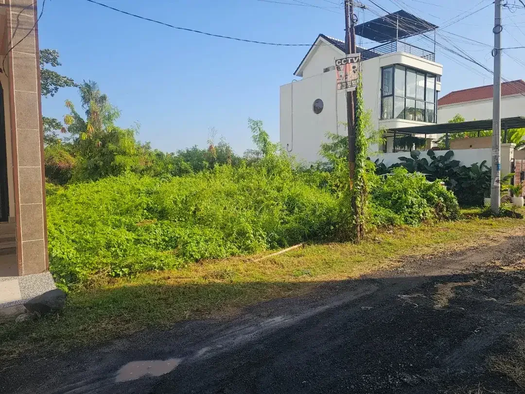 Tanah pemaron munggu - Image 2 of 6