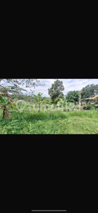 Tanah View Lembah Hutan Siap Bangun Harga Murah - Image 2 of 4