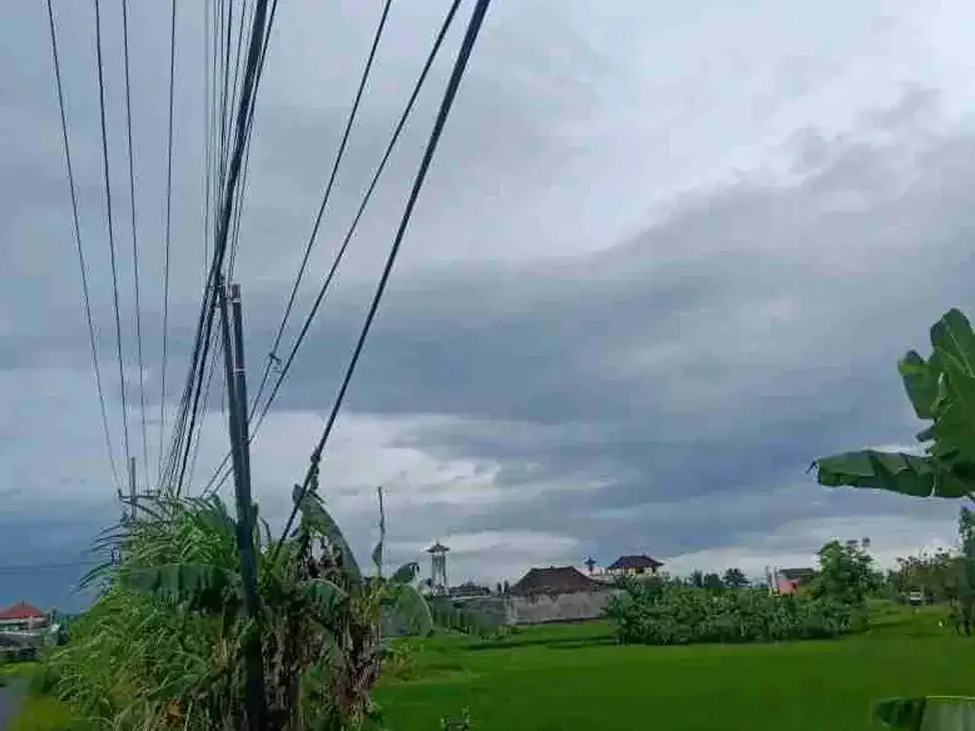 Tanah Komersial 2.650m² Jalan Raya Pantai Nyanyi - Image 6 of 10