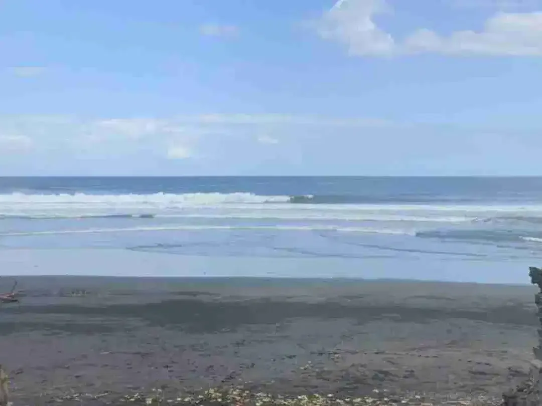 tanah los pantai Tabanan - Image 7 of 8