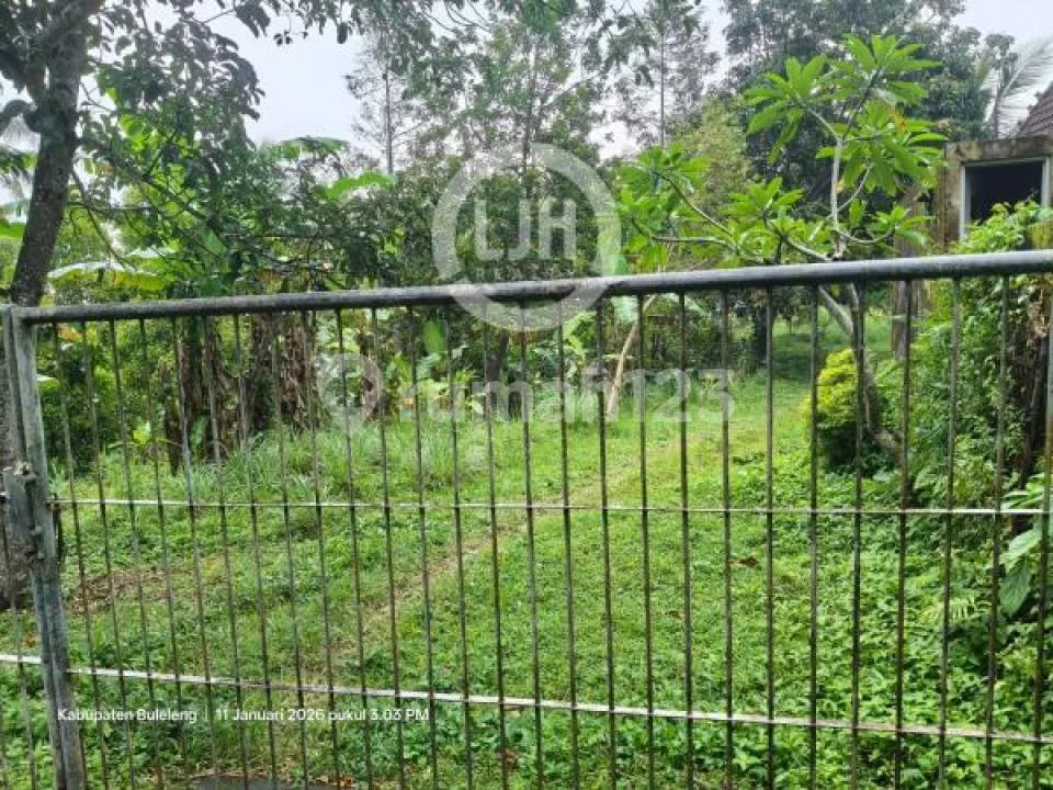 Tanah di Singaraja Bali Dekat Bedugul - Image 3 of 4