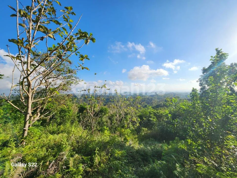 Tanah di Desa Klumpu Nusa Penida - LT 13.700 M², View Laut & Gunung Agung, Cocok untuk Villa, Resort & Glamping - Image 2 of 4