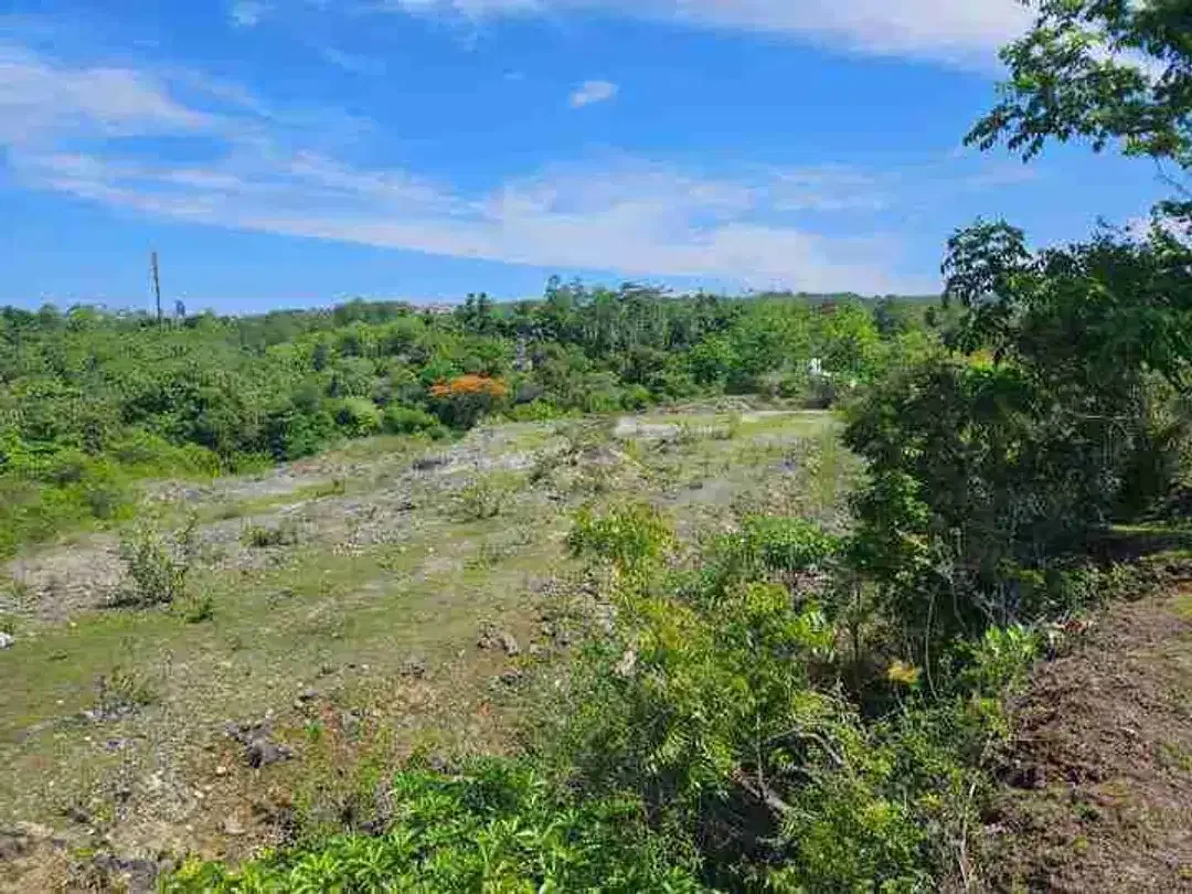 dijual tanah 2,05 hektar IDR 500 juta per are  kawasan pantai balangan jimbaran badung bali - Image 1 of 10