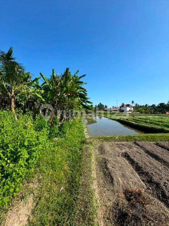 Dijual Tanah - Singakerta, Ubud View Sawah dan Sunset - Image 2 of 4
