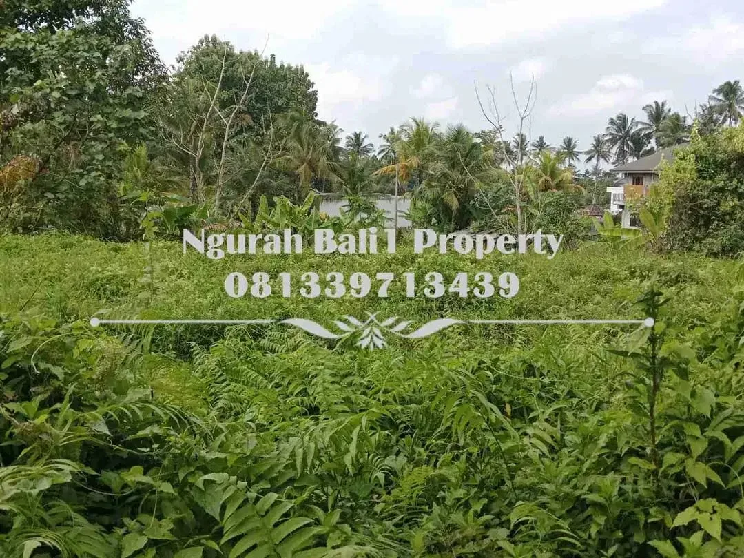 Murah Dijual Tanah Luas 10 Are Kawasan Villa di Ubud Pejeng - Image 3 of 5