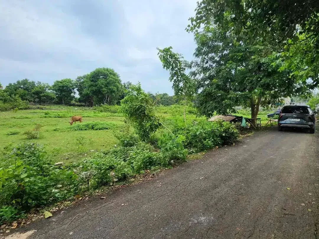 Dijual Tanah Dekat Pantai Balangan - Image 2 of 5