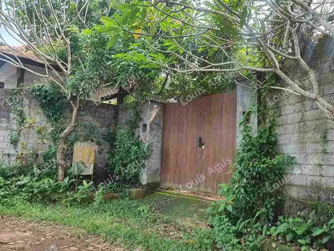 VILLA DAN PENDOPO STRATEGIS DI JL. SELUKAT - KERAMAS, GIANYAR, BALI - Image 2 of 5