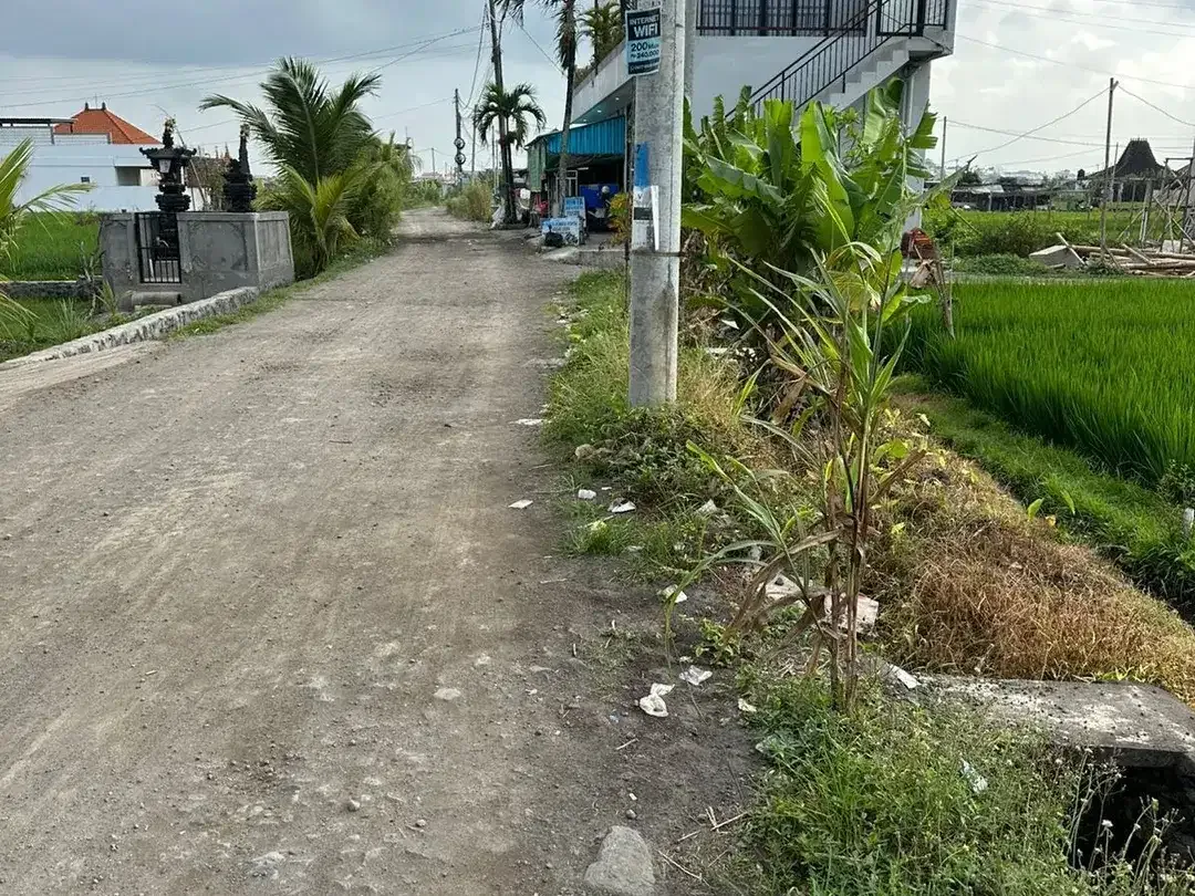 Land for sale in Cemagi, Bali - Image 2 of 4