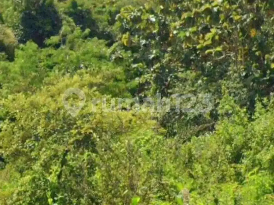 380 Juta Per Are Dijual Cepat Tanah Jimbaran - Image 6 of 6