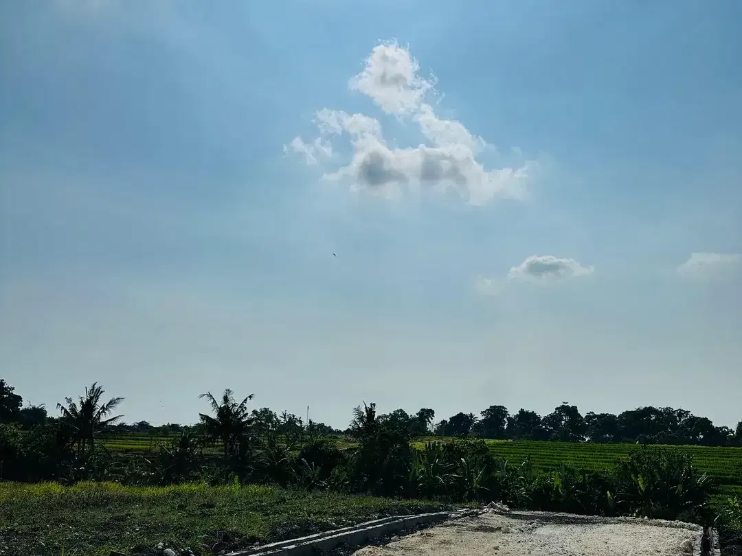 TANAH PERERENAN CANGGU KEDUNGU SIAP BANGUN VILLA - Image 8 of 10