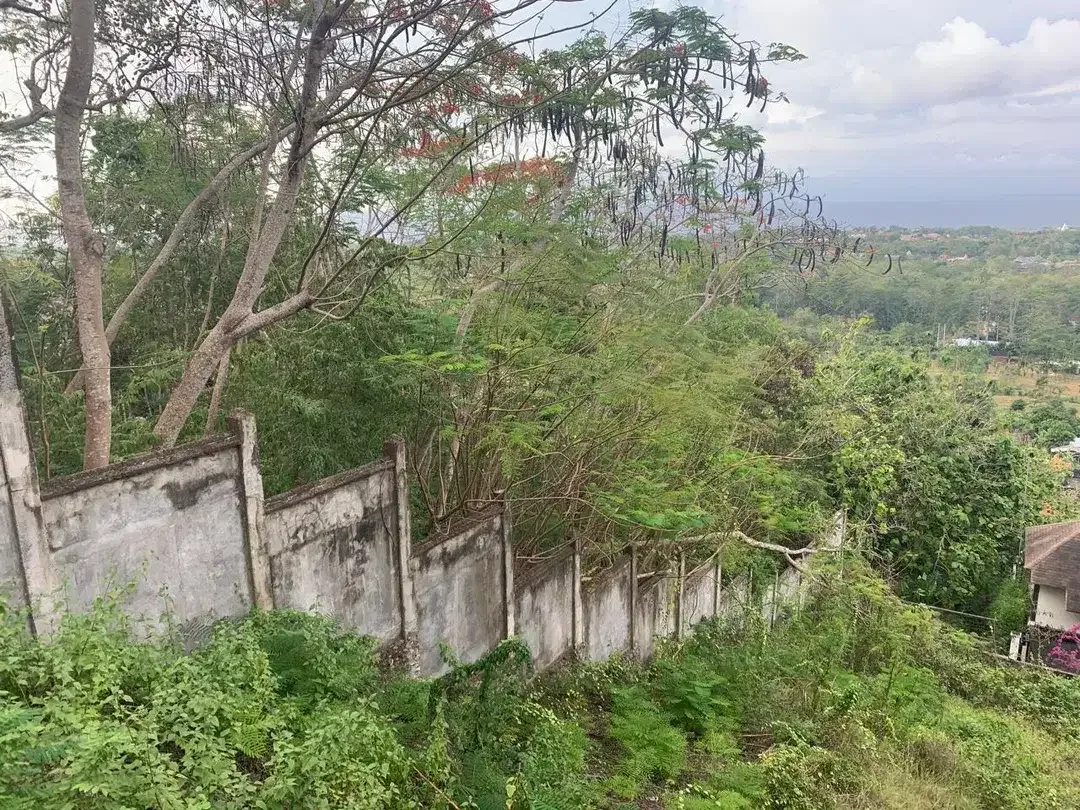 Dijual Tanah View Laut Padang-Padang Pecatu - Image 3 of 10