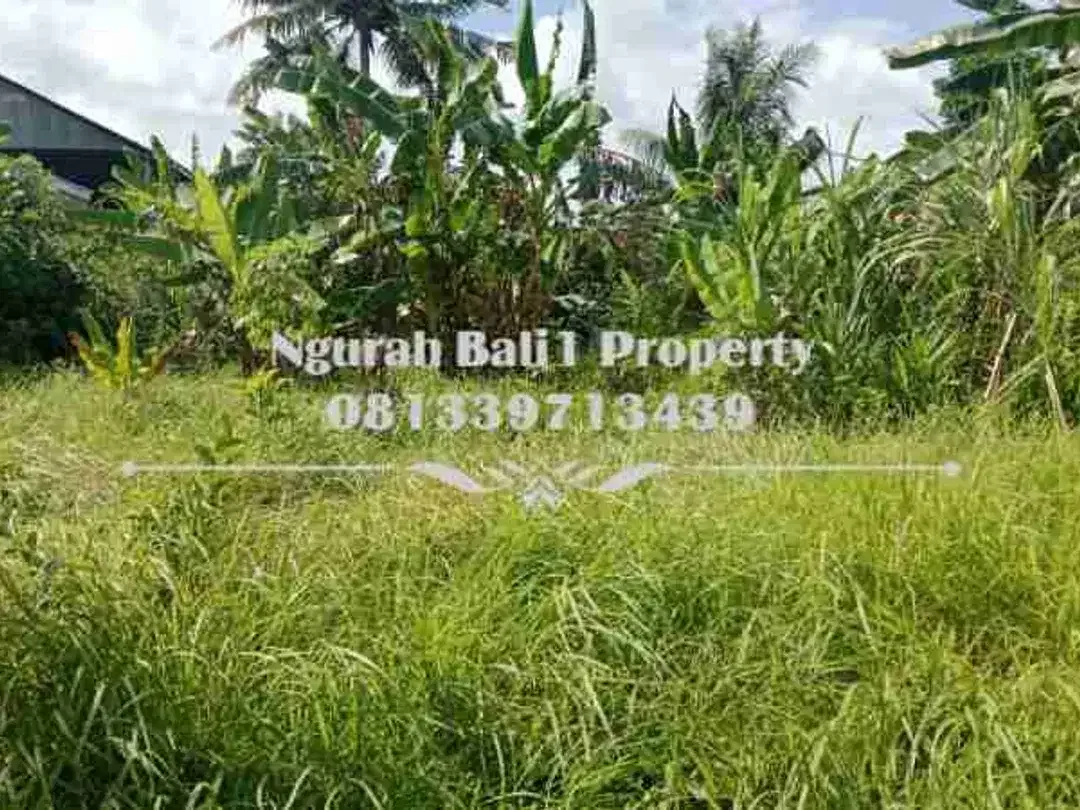 Land For Rent  Luas 900 m2 Kawasan Villa Terletak di Sayan Kelod Ubud - Image 2 of 5