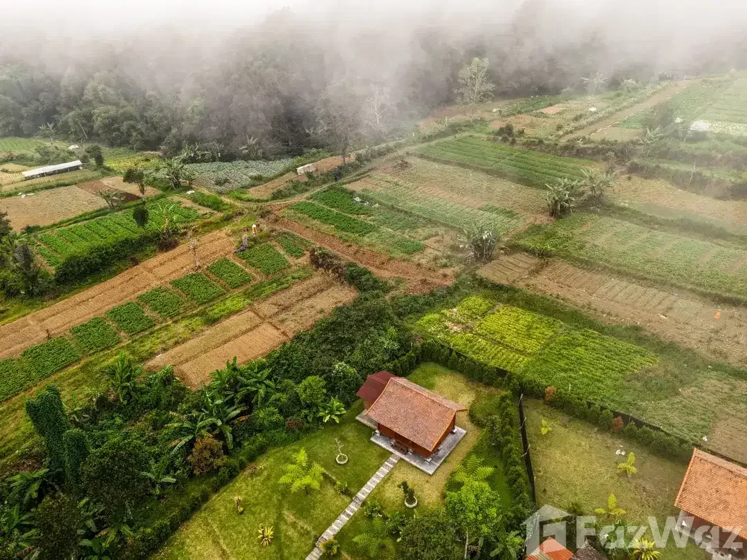 Land for sale in Baturiti, Bali - Image 3 of 5