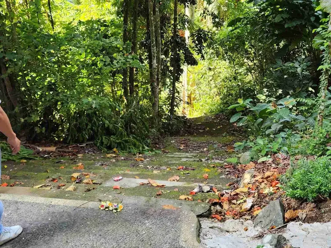 Land For Lease in the Heart of Ubud - Image 1 of 4