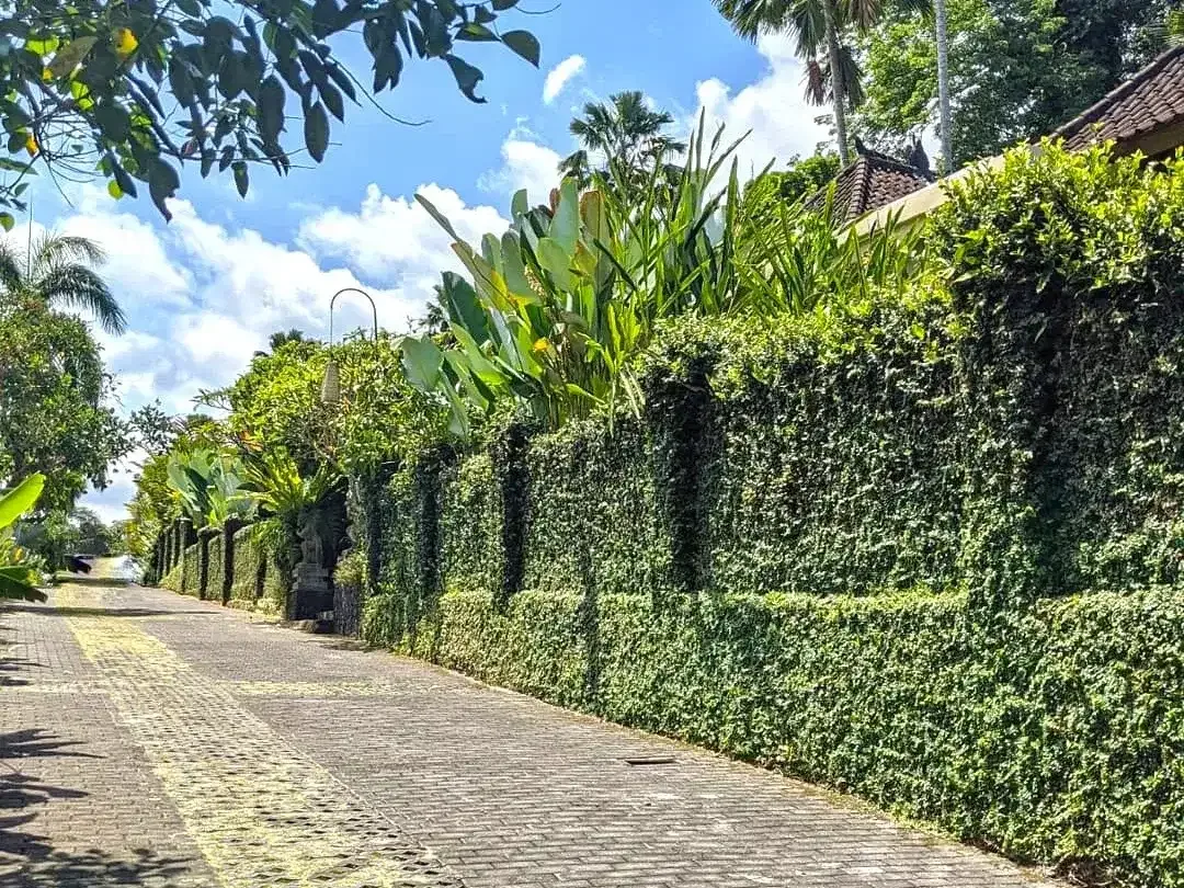 Land for sale in Ubud, Bali - Image 10 of 10