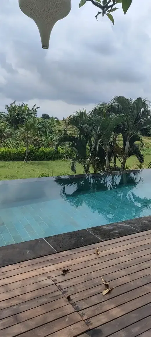 dijual villa view sawah canggu - Image 1 of 10