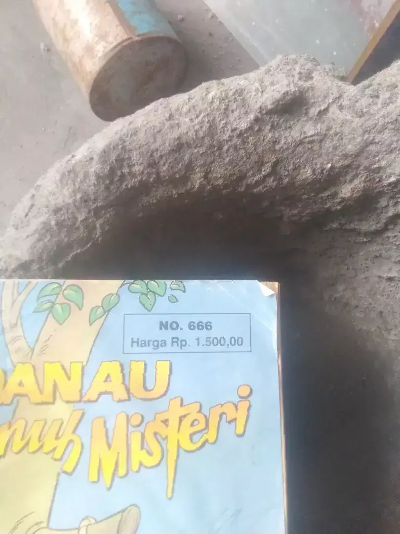 Komik Donald bebek edisi 666 sakral - Image 5 of 5
