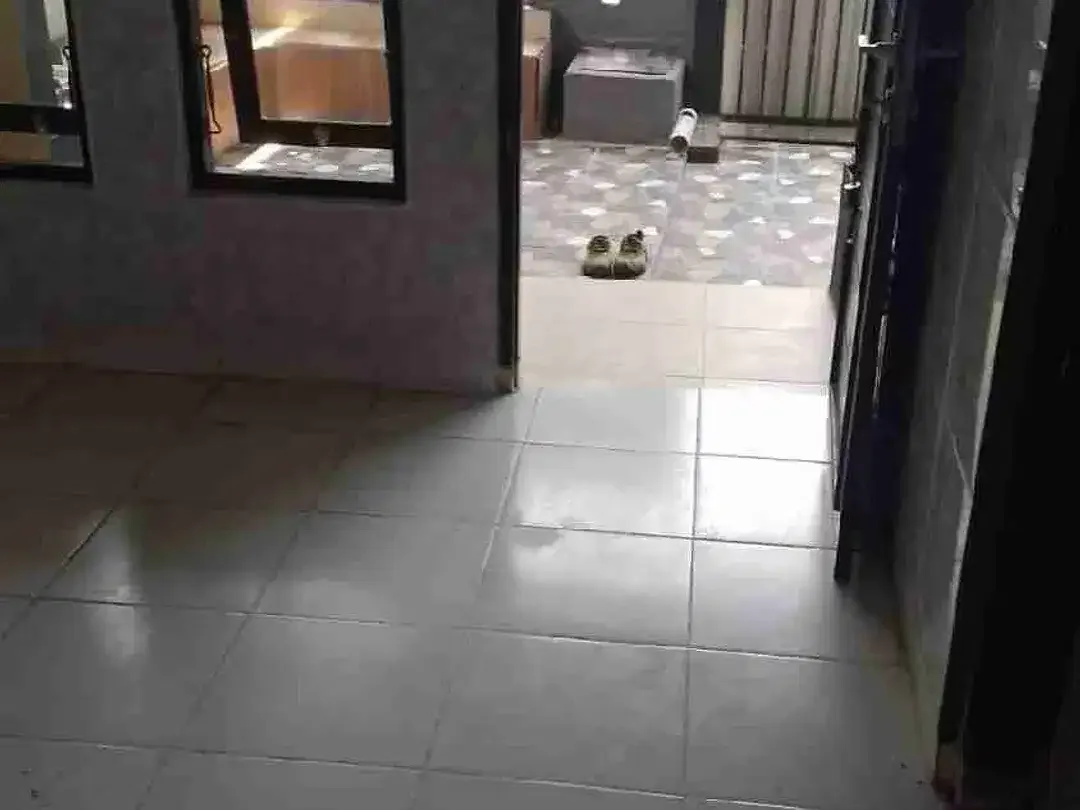 dijual dan disewakan rumah ungasan - Image 2 of 10