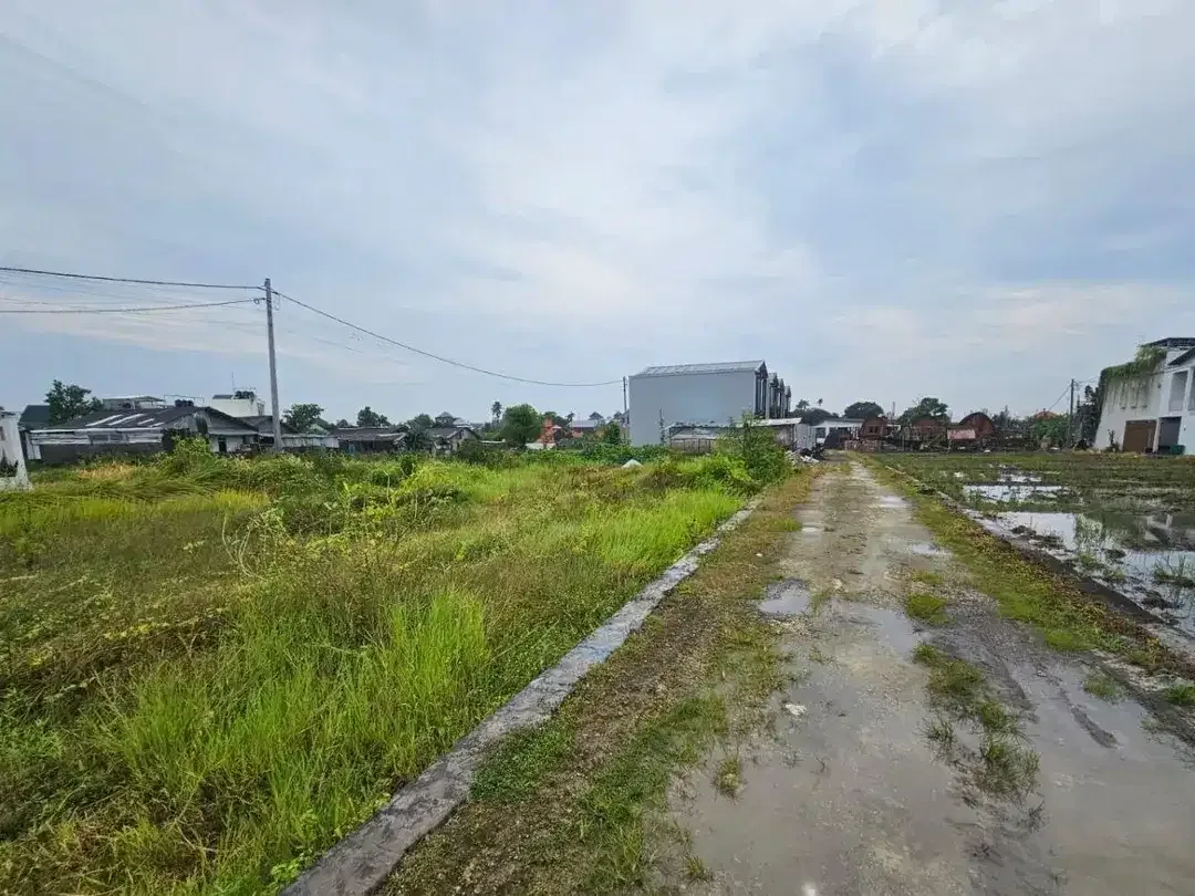 Tanah kedampang kerobokan - Image 6 of 9