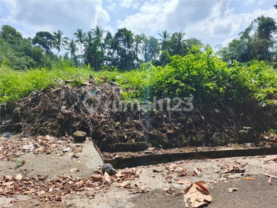 Dijual Lahan Murah 45 Are Sembung Mengwi Badung - Image 2 of 4