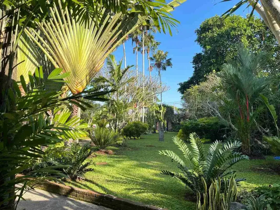 DIJUAL / FREEHOLD Tanah Berisi Bangunan Villa Jl. Kubu Manyar, Batu Bolong, Canggu - Bali - Image 4 of 5