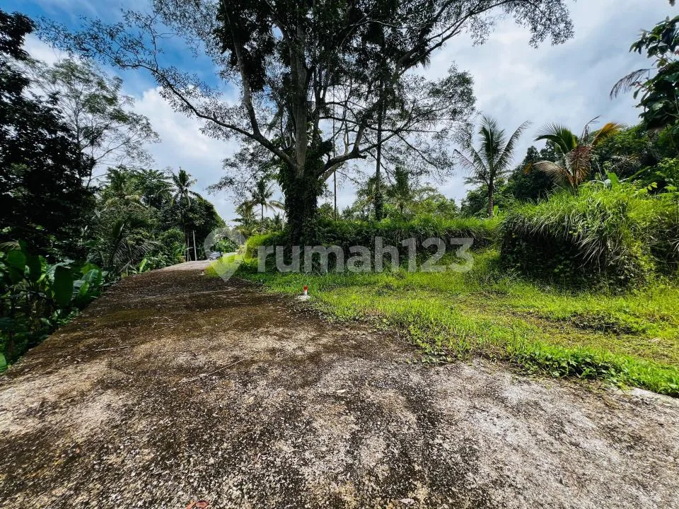 Tanah Kavling Strategis Dekat Hotel Bintang 5 Payangan, Ubud - Image 1 of 4