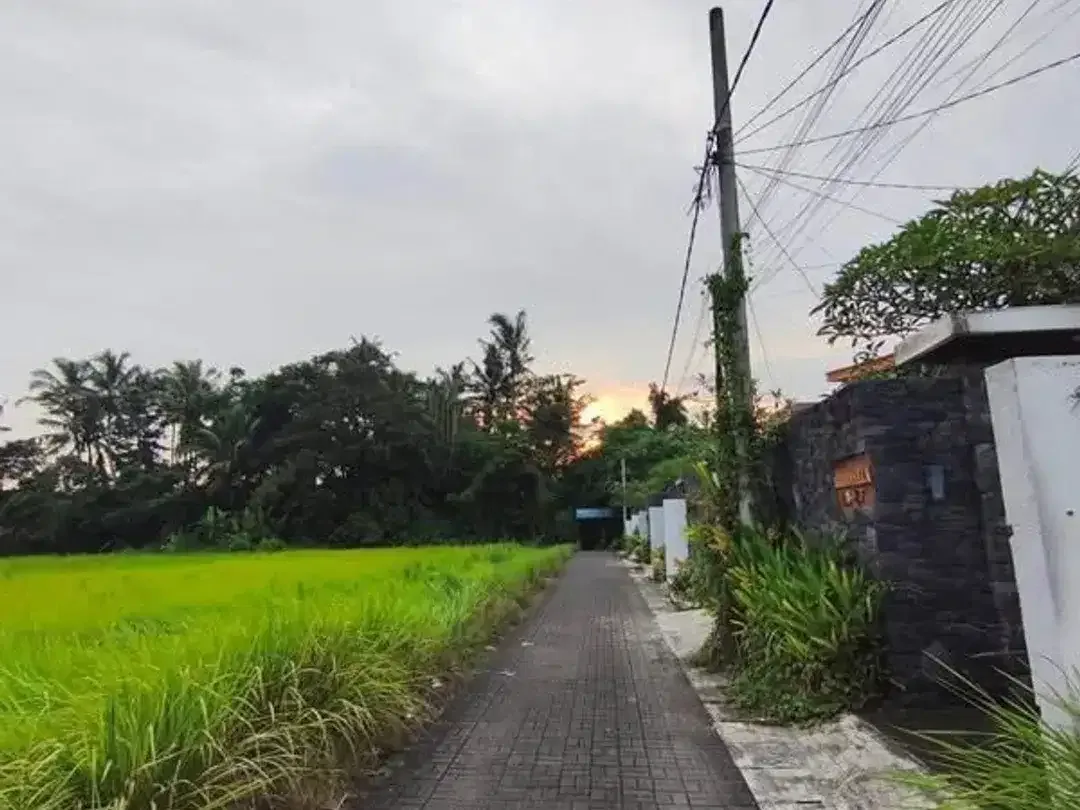 VILLA FOR RENT – LOHTUNDUH, UBUD, GIANYAR - Image 9 of 9