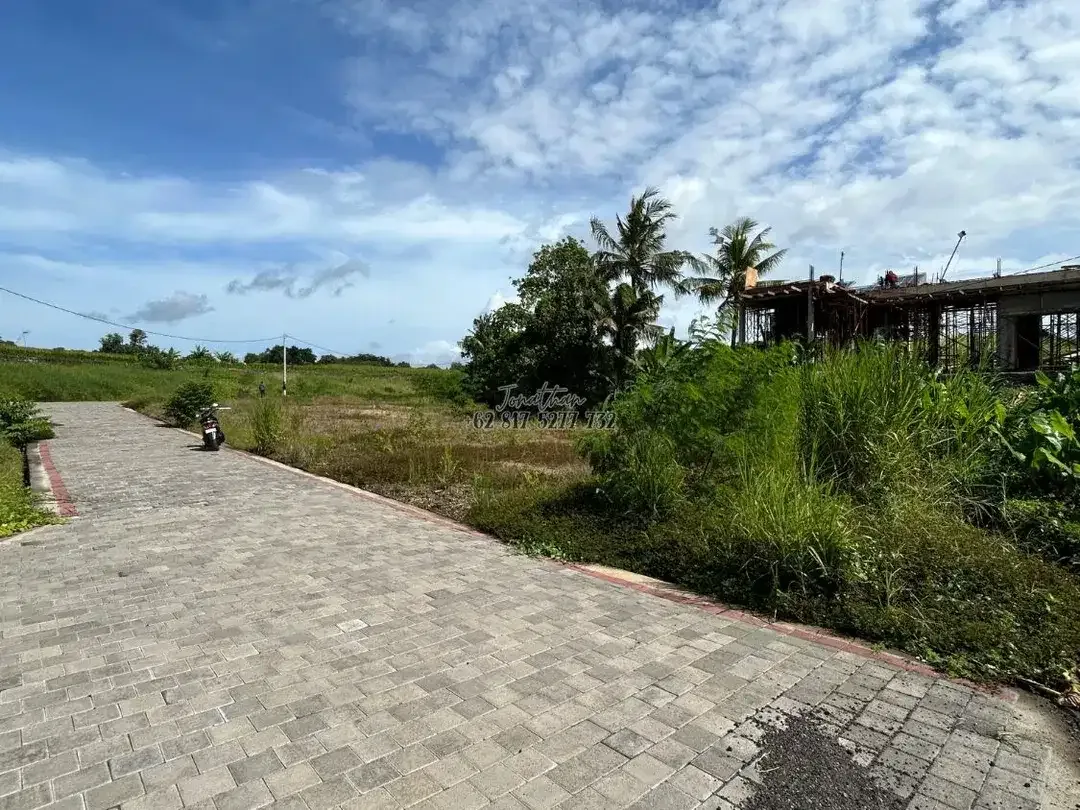 Dijual Tanah Langka Zona Kuning Kedungu Dekat Pantai - LSKT - Image 3 of 7
