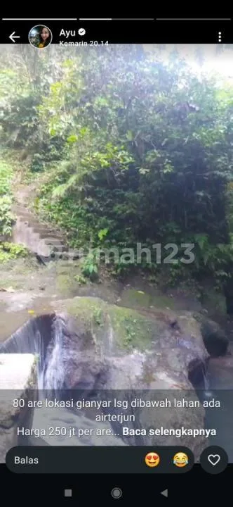 Tanah View Sungai Hutan Airterjun Harga Murah - Image 3 of 4