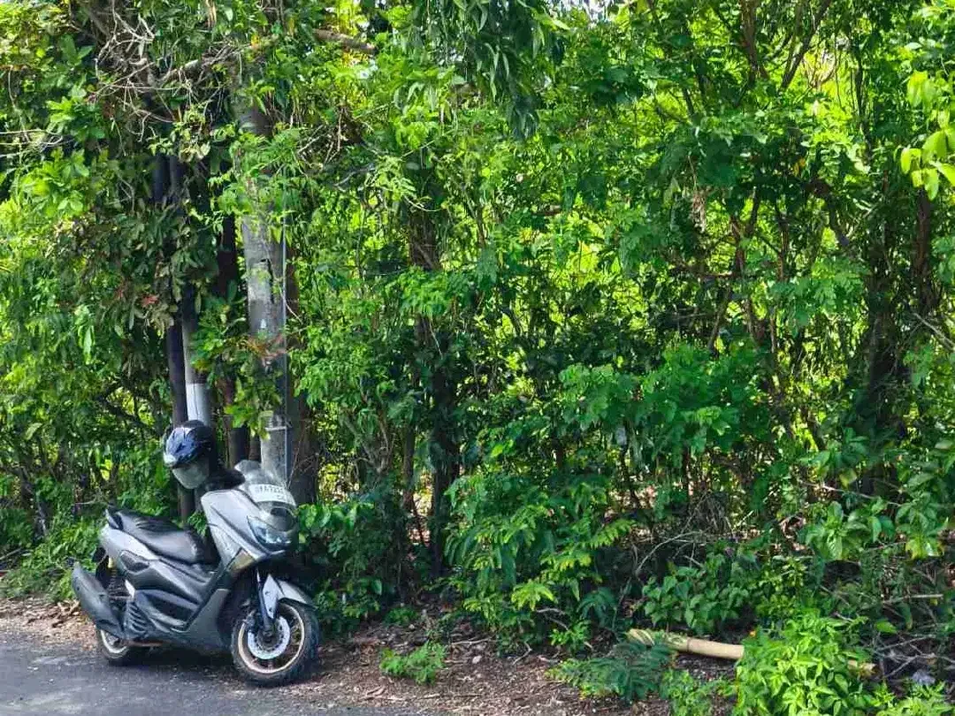 dijual tanah 8 are dekat beranda Bukit Ungasan Kuta Selatan Badung Bali - Image 4 of 7