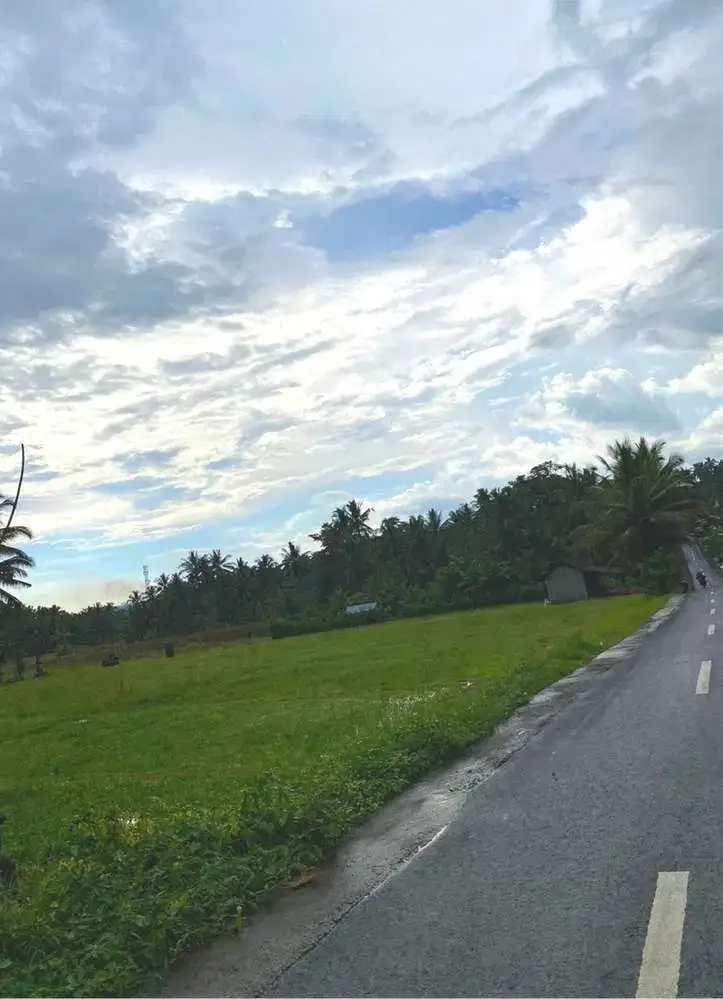 DIJUAL TANAH SAWAH LOS SUNGAI TABANAN - Image 4 of 9
