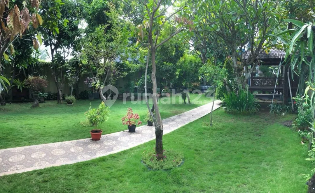 Di Bawah Harga Pasar! Rumah Prestisius Halaman Luas di Renon - Image 3 of 4
