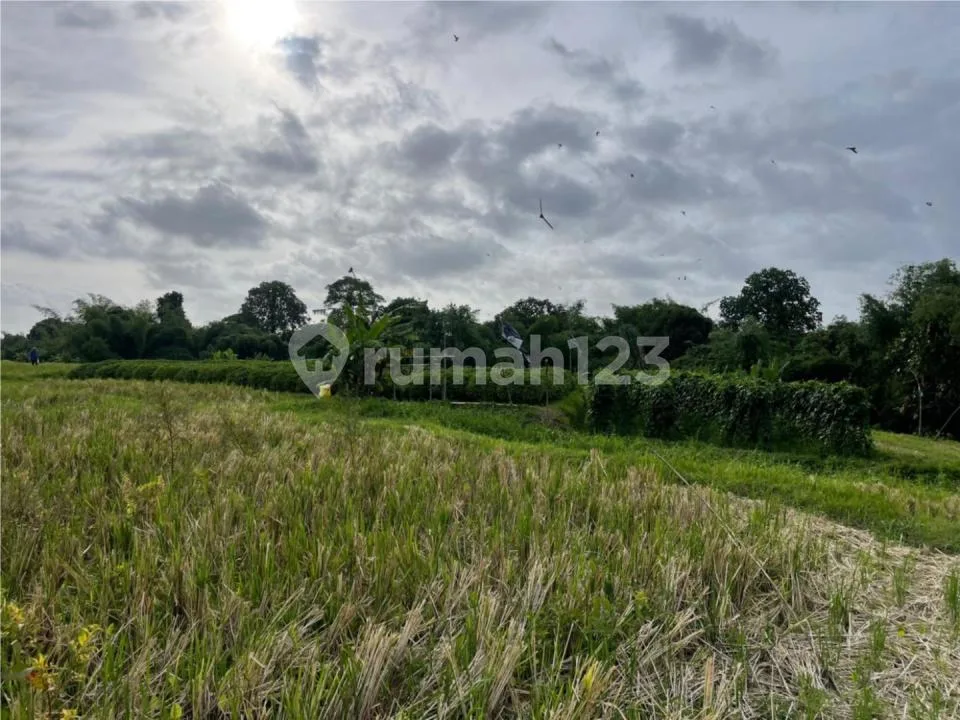 Jual Murah Tanah Pertanian di Sedang Abiansemal Badung - Image 2 of 4