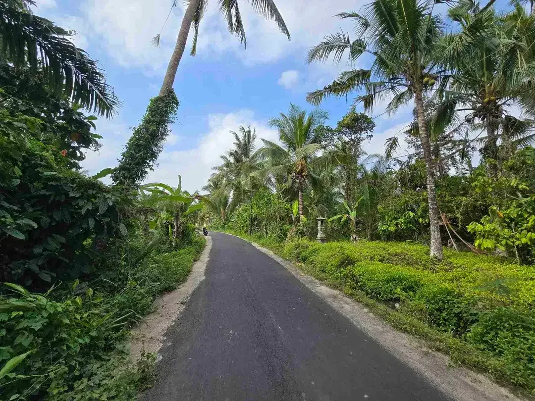 Dijual tanah murah view sawah akses jalan hotmik di tabanan bali - Image 10 of 10