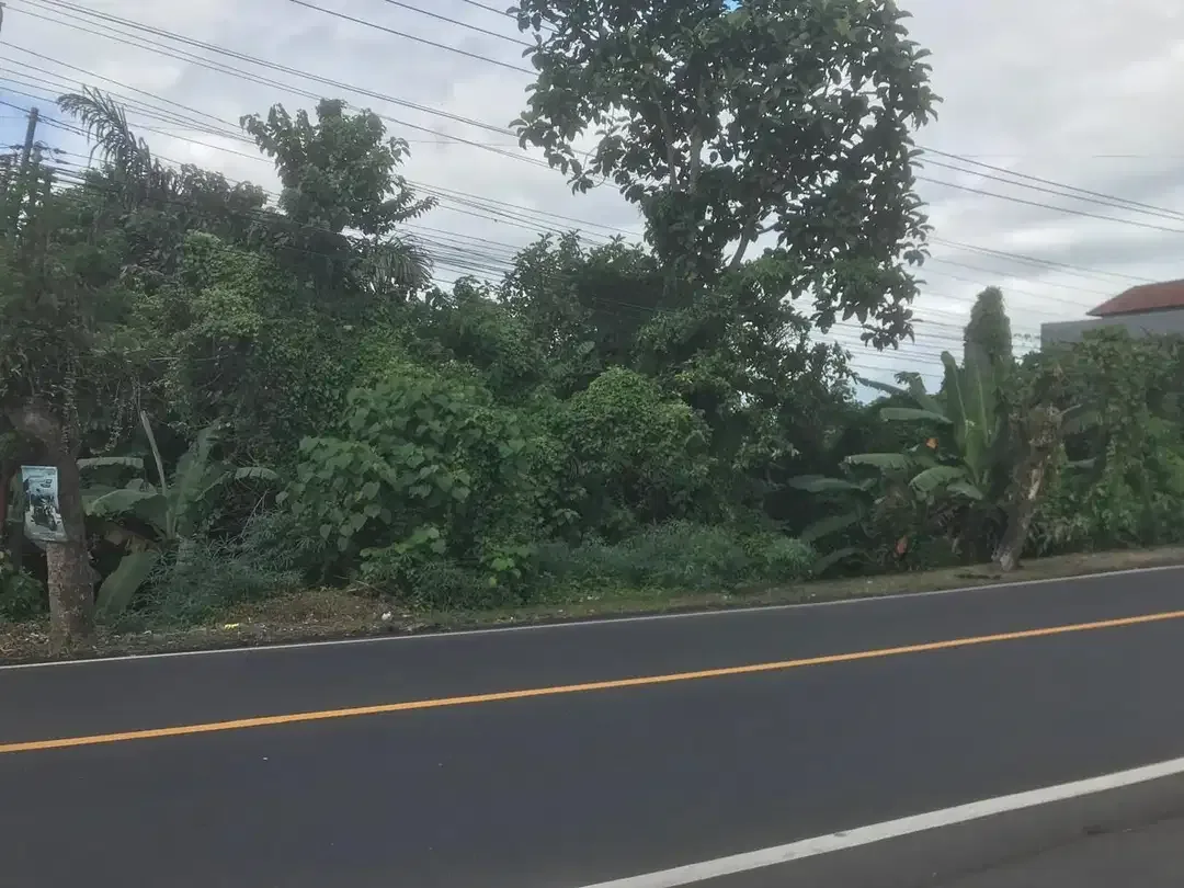 Tanah cantik pinggir jalan raya Denpasar Gilimanuk - Image 2 of 4