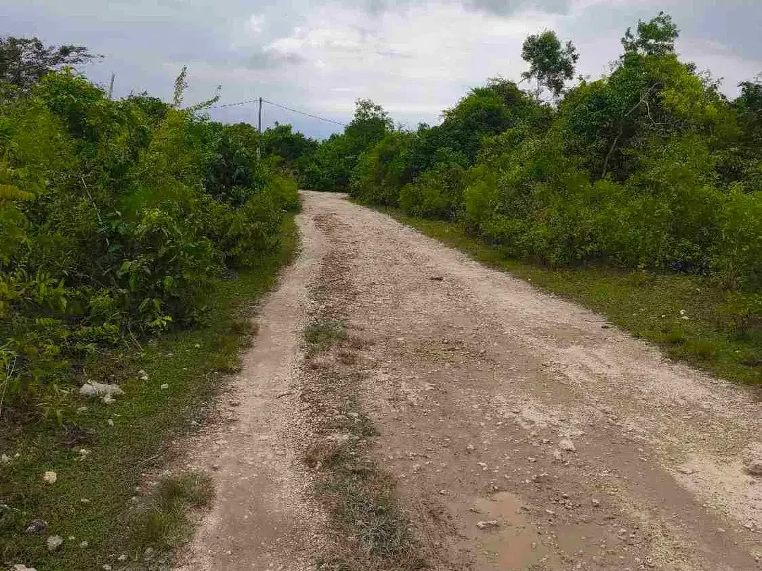 dijual tanah ocean view 1972m² IDR 700 juta /are kawasan purigading jimbaran - Image 10 of 10