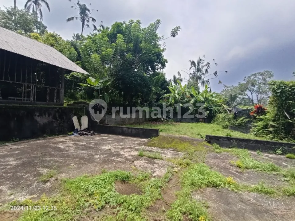 Kebun Durian Dan Manggis Di Pupuan Tabanan Bali - Image 3 of 4