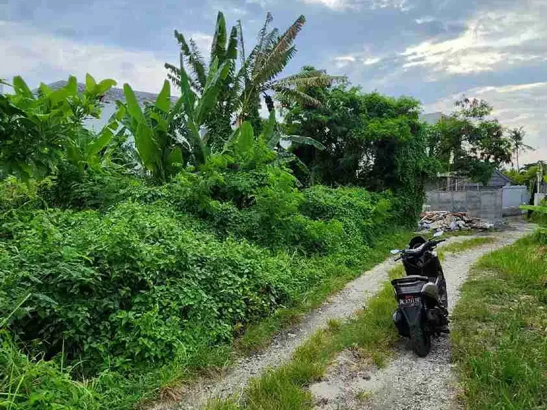 Di jual tanah sangat langka dekat dengan pantai pererenan sangat cocok di bangun villa - Image 5 of 5