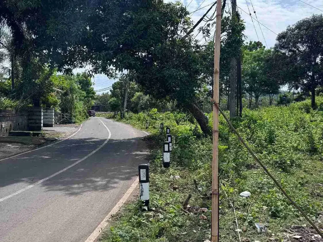Di sewa kan tanah luas global 10.000m² yang terletak di kawasan Jl. pantai Balangan - Image 1 of 4