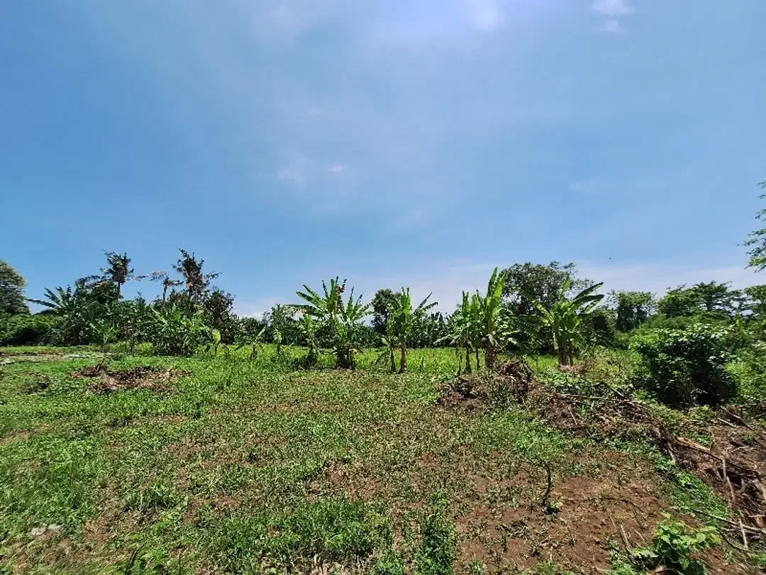 Tanah Disewakan atau Dijual  Dekat Pantai di Permata Pering - Saba - Image 7 of 10