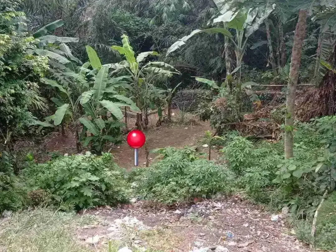 DIJUAL TANAH 2.6 ARE SHM DEKAT WR MINA DALUNG MNK - Image 1 of 4