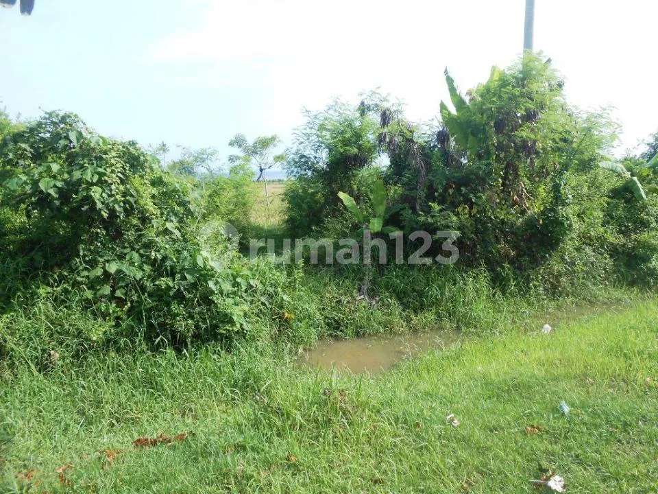 Tanah 18,850 M2 Jalan Utama dan Los Pantai By Pass Ida Bagus Mantra - Image 3 of 4