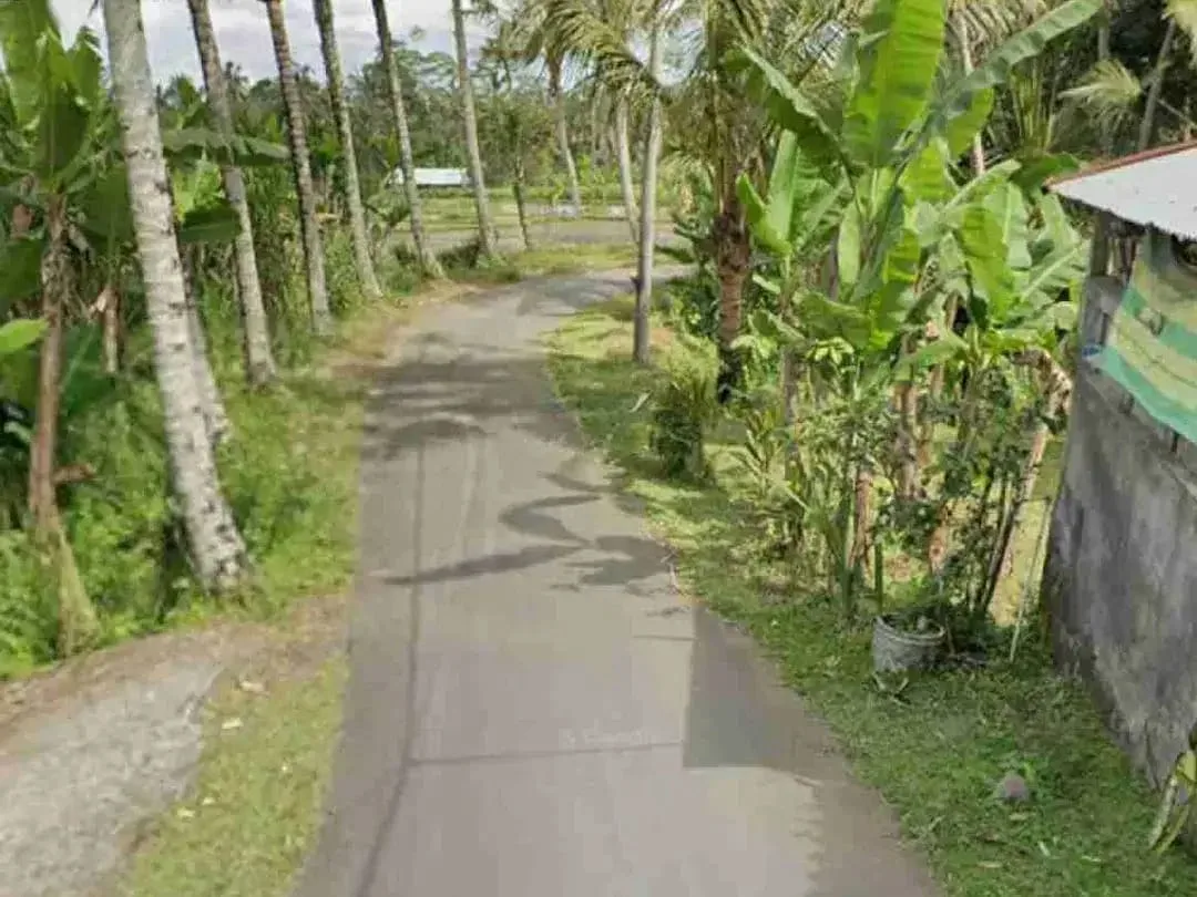 Jual Tanah kebun 33,6are jalan 8 aspal di Payangan Gianyar Ubud Bali - Image 4 of 10
