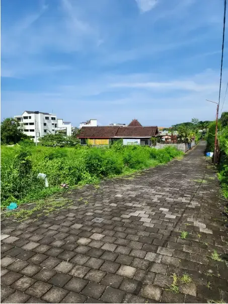 Tanah Murah 6 Are di Berawa Canggu - Image 5 of 9