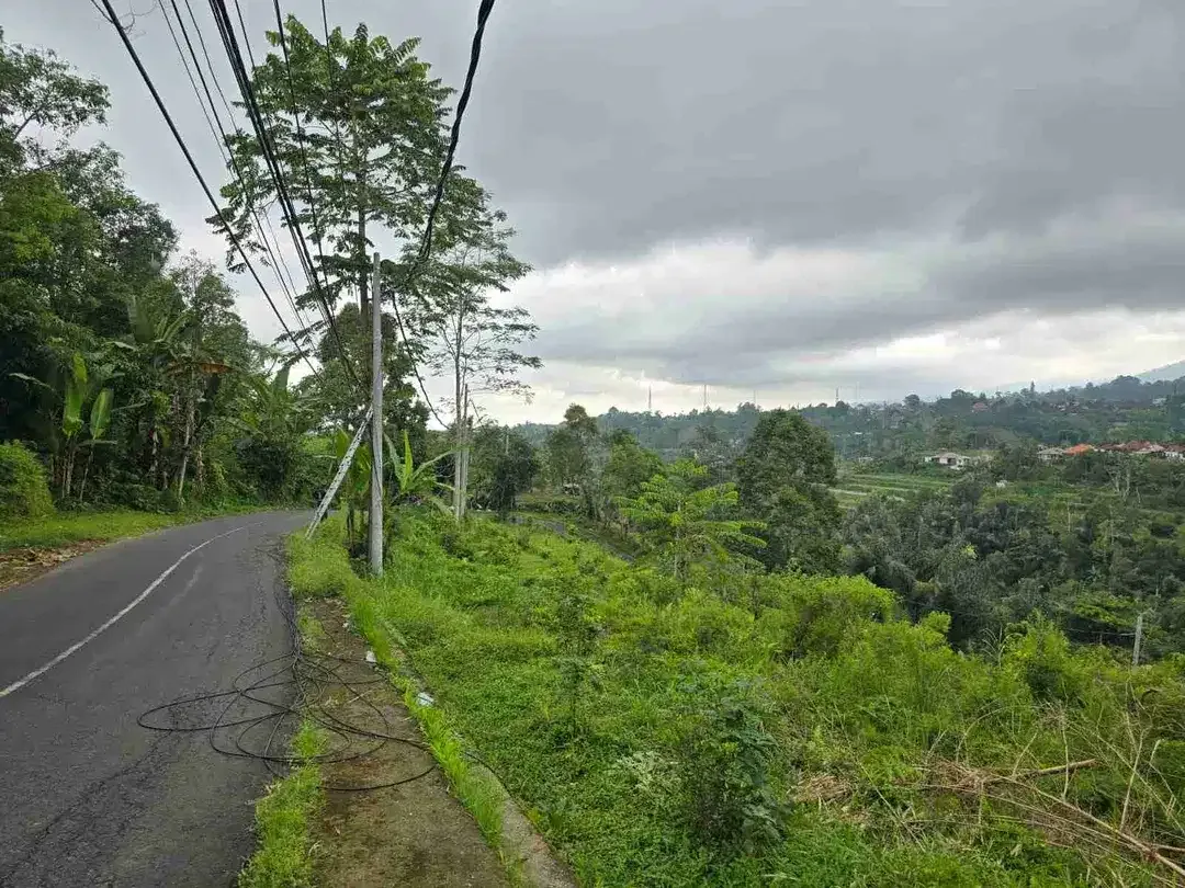 kebun dengan view gunung dan sawah penuh panorama - Image 9 of 9