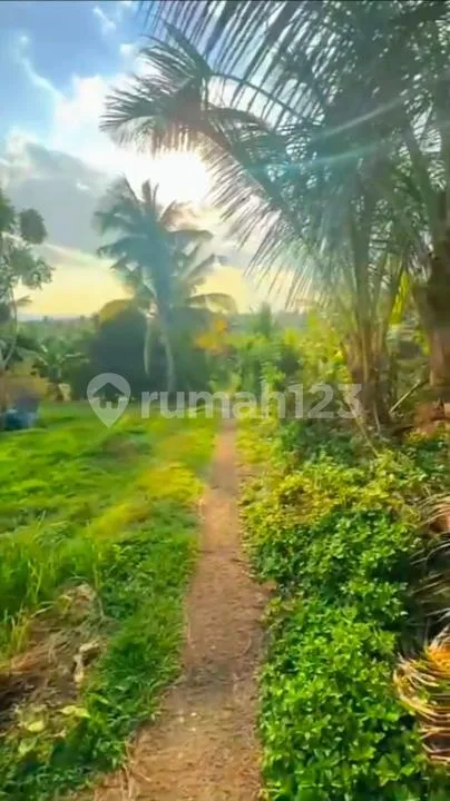Tanah View Laut, Sunset Luas Strategis Selabih Selemadeg, Tabanan - Image 2 of 4