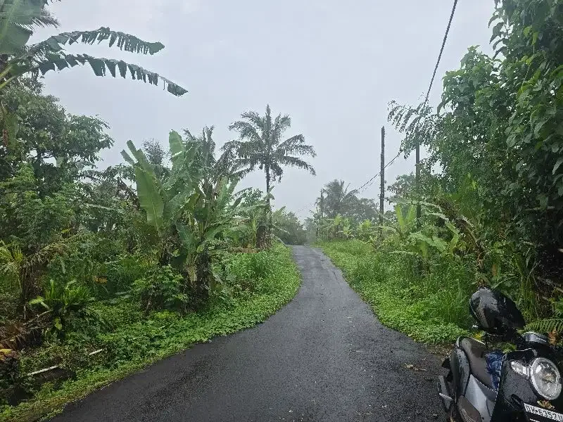 Dijual tanah kebun durian view lembah dan gunung - Image 7 of 8