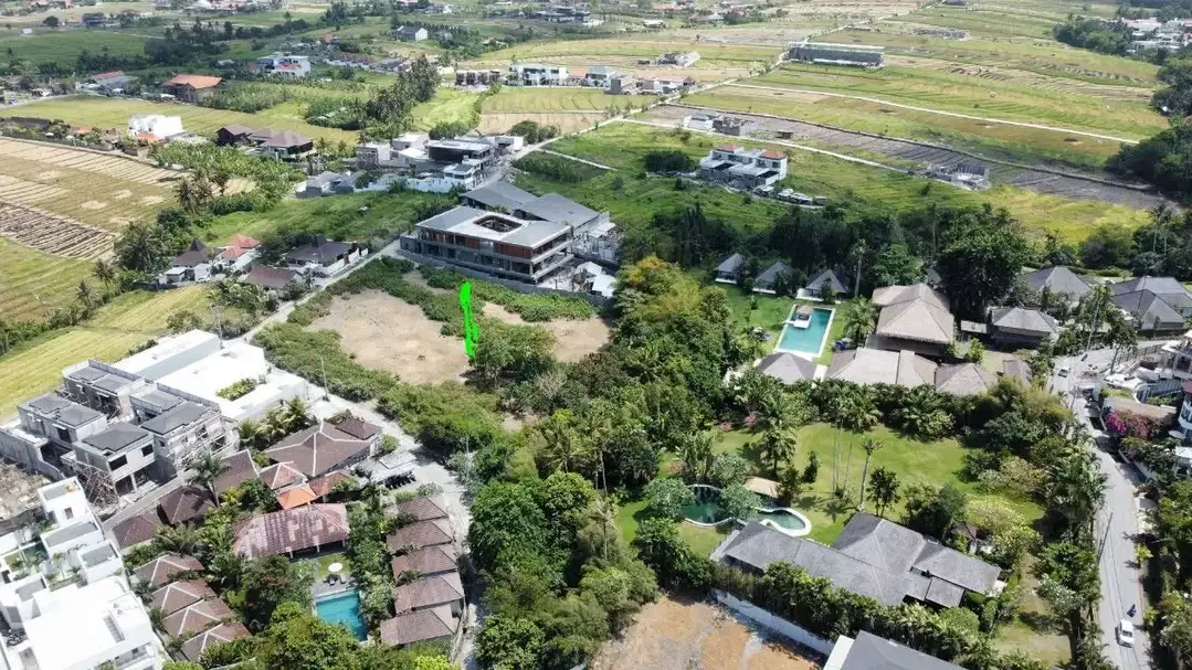 TANAH PERERENAN 800 METER PANTAI MURAH VIEW SAWAH GAK BIKIN SUSAH - Image 8 of 10