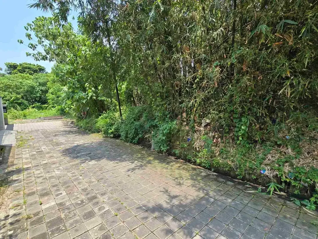 DIJUAL TANAH CANGGU PADANGLINJONG - Image 6 of 9